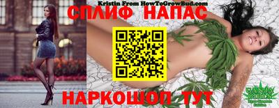 ПСИЛОЦИБИНОВЫЕ ГРИБЫ Кулебаки