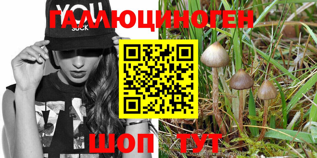 Галлюциногенные грибы Psilocybine cubensis  Галлюциногенные грибы Psilocybe  Вход с VPN  Калач-на-Дону 